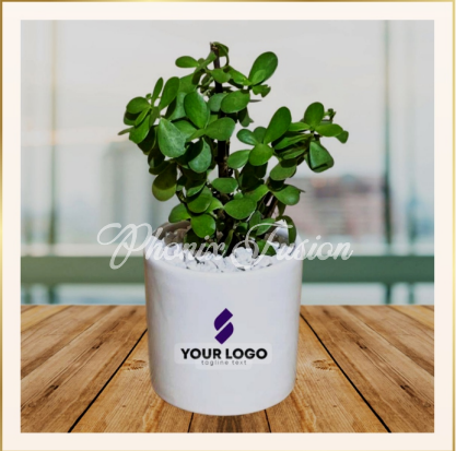 Occasion Specific Plants